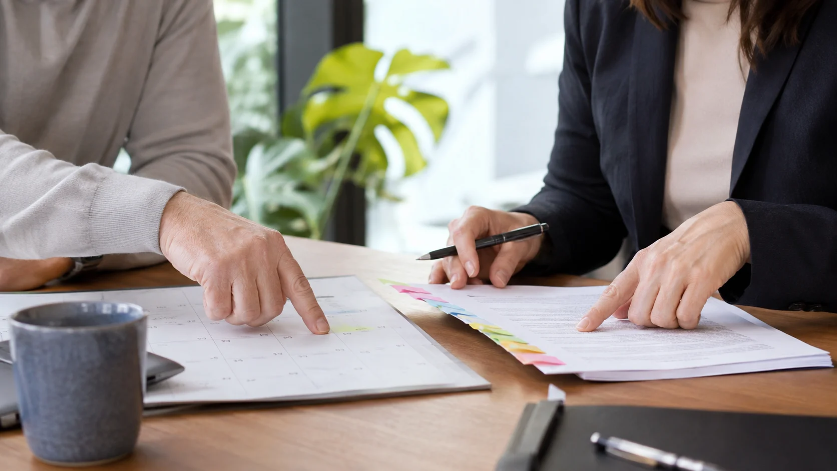 A New Zealand seller organising written offer conditions and dates